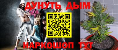 альфа пвп Ставрополь