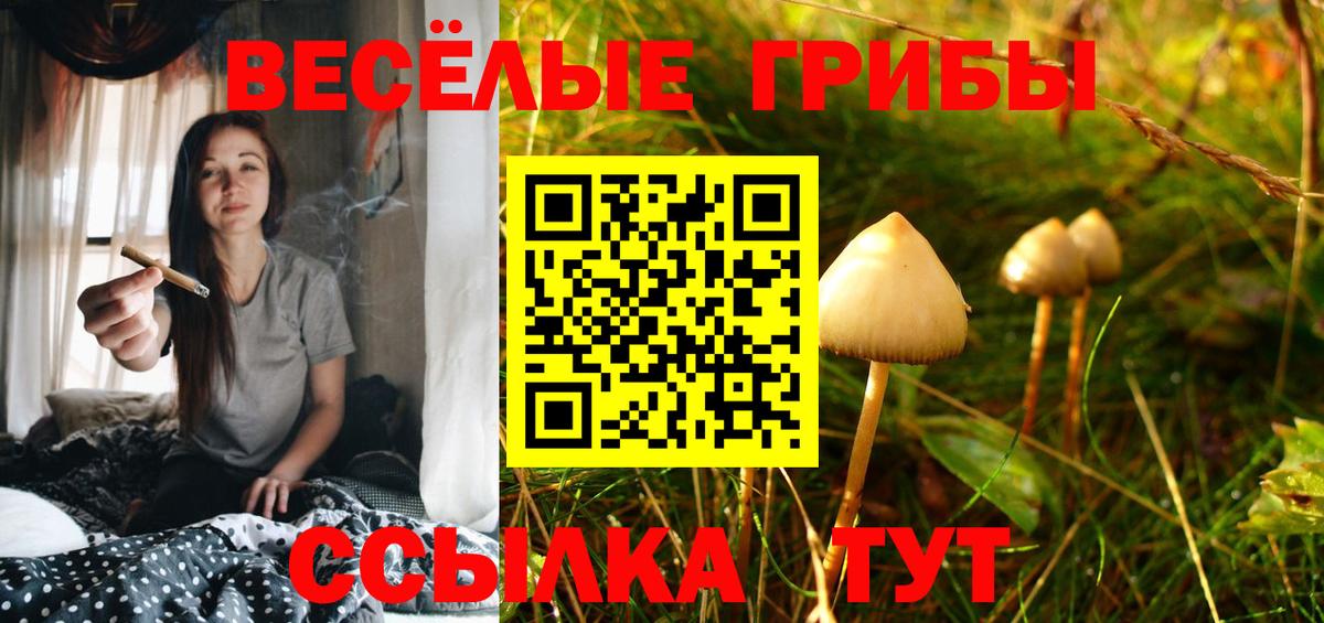 Нижний Новгород  Галлюциногенные грибы Psilocybine cubensis  Вход с VPN 